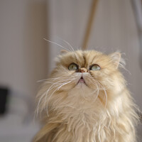 Портрет фотографа (аватар) LAMOTTE Christian (Christian Lamotte)