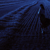 Портрет фотографа (аватар) Виктория Краснобородько (Viktoria Krasnoborodko)