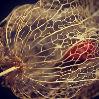 Портрет фотографа (аватар) Юлия Таран (YuliyaTaran)