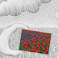 Портрет фотографа (аватар) Алибаев Нургали (Alibayev Nurgali)