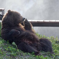 Портрет фотографа (аватар) Максим Ушаков (Maksim Ushakov)