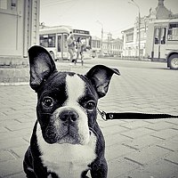 Портрет фотографа (аватар) коекто (whoiswho)