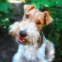 Портрет фотографа (аватар) Иван (Ivan Ivan)