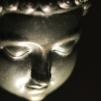 Портрет фотографа (аватар) Igor