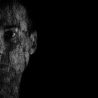 Портрет фотографа (аватар) Hristo Dipchikov