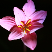 Портрет фотографа (аватар) Михаил Макаров (Michail Mararov)