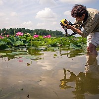 Портрет фотографа (аватар) Будникова Юлия