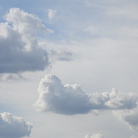 Портрет фотографа (аватар) pierreaxel (Pierre Axel)