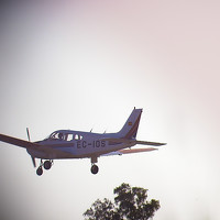 Портрет фотографа (аватар) Beatriz Calderón Alonso