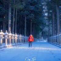 Портрет фотографа (аватар) ONG THE SI (Ong The Si)