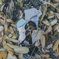 Портрет фотографа (аватар) Андрей Скорняков (Andrey Skornyakov)