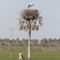 Портрет фотографа (аватар) Roman Anselmo (Román Anselmo)