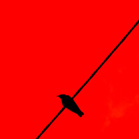 Портрет фотографа (аватар) Александр Поданев (Podanev Aleksandr)