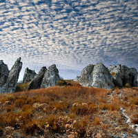 Фотография Дмитрий Портрет фотографа (аватар) Дмитрий