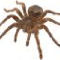 Портрет фотографа (аватар) Alexander Vayionis (ΑΛΕΞΑΝΔΡΟΣ  ΒΑΓΙΩΝΗΣ)