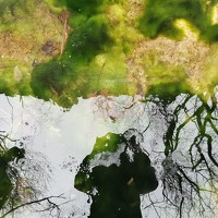 Портрет фотографа (аватар) Горянин Вадим (Gorynin Vadim)