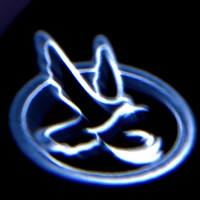 Портрет фотографа (аватар) Елена Киркицкая (Elena Kirkitskaya)