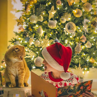 Портрет фотографа (аватар) Марина Нетеса (Marina Netesa)