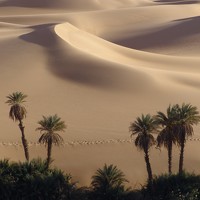 Портрет фотографа (аватар) ALBERT CORSO (ALBERT BERGADA CORSO)