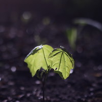 Портрет фотографа (аватар) Александр Заруцкий (Aleksandr Zarytskij)