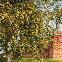 Портрет фотографа (аватар) Андрей Догадкин (Andrey dogadkin)