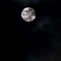 Портрет фотографа (аватар) Заур Плиев (Zaur Pliev)