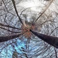 Портрет фотографа (аватар) Lana Leb