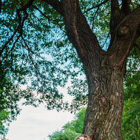 Портрет фотографа (аватар) Регина Немчинова (REGINA NEMCHINOVA)