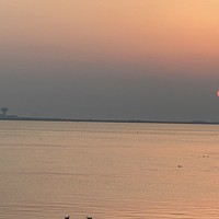 Портрет фотографа (аватар) Dadoma Bhutia