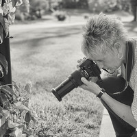 Фотография Lisa Watkins Портрет фотографа (аватар) Lisa Watkins