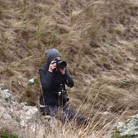 Фотография Ольга Криволапова (Olga Krivolapova) Портрет фотографа (аватар) Ольга Криволапова (Olga Krivolapova)