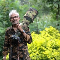 Портрет фотографа (аватар) Sathyan KM (K.M.Sathyan)