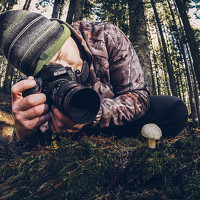 Портрет фотографа (аватар) MATTEO TRENTIN