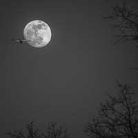 Портрет фотографа (аватар) Javier Diazgranados