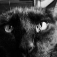 Фотография Андрей Довганенко (Andrey Dovganenko) Портрет фотографа (аватар) Андрей Довганенко (Andrey Dovganenko)