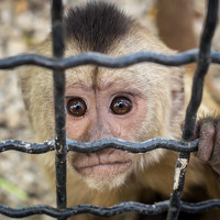 Портрет фотографа (аватар) Александр Рудный (Rudnyy Alexandr)