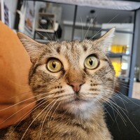 Портрет фотографа (аватар) Игорь Чечин (Igor Chechin)