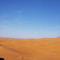 Портрет фотографа (аватар) Nova Triana