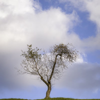 Портрет фотографа (аватар) Davor Kosec