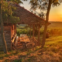 Портрет фотографа (аватар) Milica Simeunovic (Milica Simeunović)