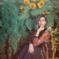 Портрет фотографа (аватар) mahshid dastanian (mahshiddastanian)