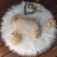 Портрет фотографа (аватар) Иван Грачев (Ivan Grachev)