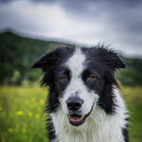 Портрет фотографа (аватар) Sebastian Oziomek