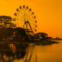 Портрет фотографа (аватар) Ayoe Naturalart