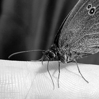 Портрет фотографа (аватар) Юрий Моргунов (Yuri Morgunov)