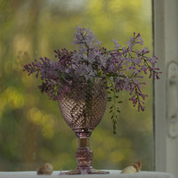 Портрет фотографа (аватар) Ирина Ямчицкая (Irina Yamchitskaya)