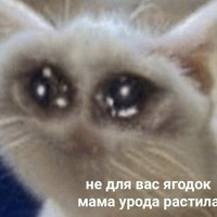 Портрет фотографа (аватар) Владик Владик (Vla dik)