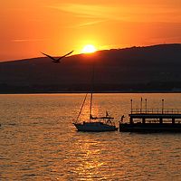 Портрет фотографа (аватар) kalt