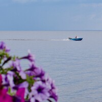 Портрет фотографа (аватар) K. D.