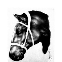 Портрет фотографа (аватар) SERj BAR